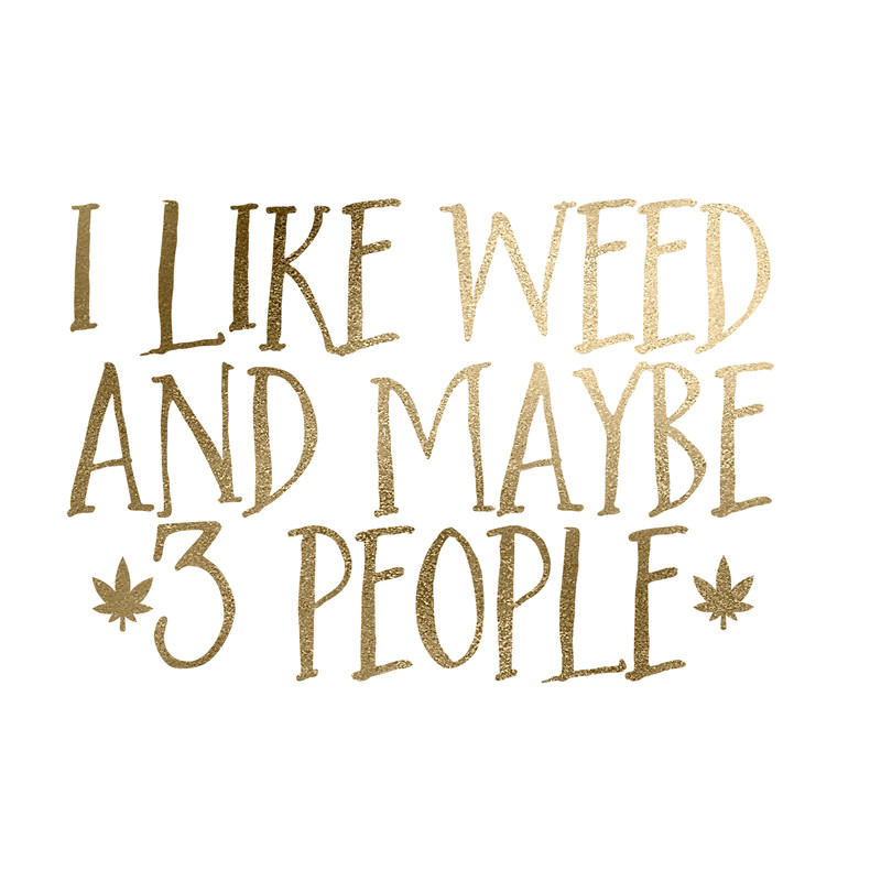Ilikeweedandmaybe3people.png