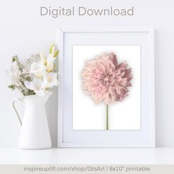 printable wall art flower, printable wall art, digital wall art, printable posters, printable posters wall art, printabl