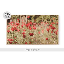 Frame TV art poppies, Frame TV art flowers, Frame TV art spring nature, Samsung Frame TV Art Download 4K | 492
