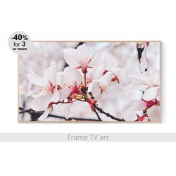 Frame TV art spring blossom, Frame TV art white flowers, Samsung Frame TV Art Download 4K, Frame TV art botanical | 497