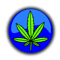 23.png