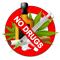 24.png