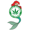 30.png