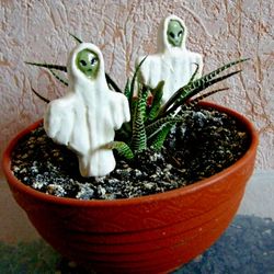 Ceramic alien ghost. Planted decoration. Handmade