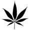 32.png