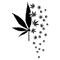33.png
