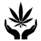 34.png