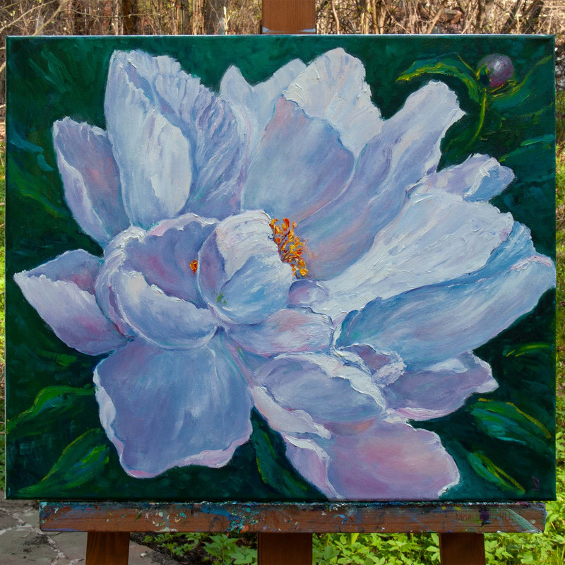 365 - 3 P1010373m.jpg