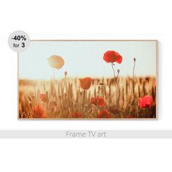 Samsung Frame TV Art Digital Download 4K, Frame TV art poppies, Frame TV art flowers, Frame TV art nature | 513