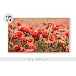 Frame TV art flowers nature, Frame TV art spring, Frame TV art poppies, Samsung Frame TV Art Download 4K | 515
