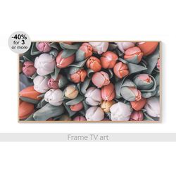 Samsung Frame TV art flowers, Frame TV art spring, Frame TV art tulips nature,  Frame TV Art Download 4K | 519