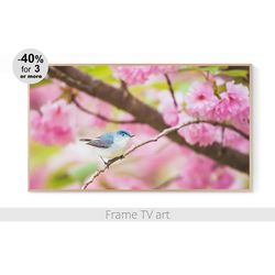 Frame TV art blossom pink, Frame TV art spring bird, Samsung Frame TV Art Download 4K, Frame TV art flowers nature | 499