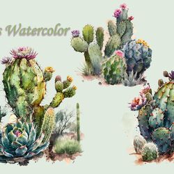 cactus watercolor clipart