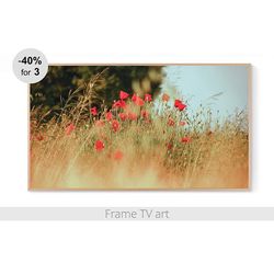 samsung frame tv art download 4k,  frame tv art nature flowers, frame tv art spring, frame tv art poppies | 514