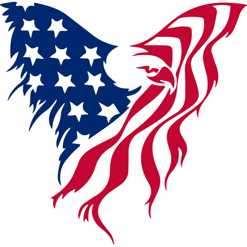 4th of july eagle .png