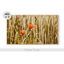 Frame TV art spring, Frame TV art poppies nature, Samsung Frame TV Art Digital Download 4K, Frame TV art flowers | 516