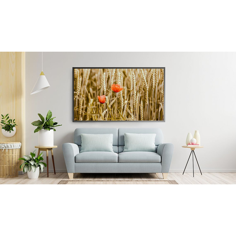 F3-PeachCatArt516.jpg