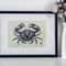 linocut print sea crab-8.jpg