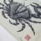 linocut print sea crab-9.jpg