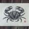 linocut print sea crab-3.jpg