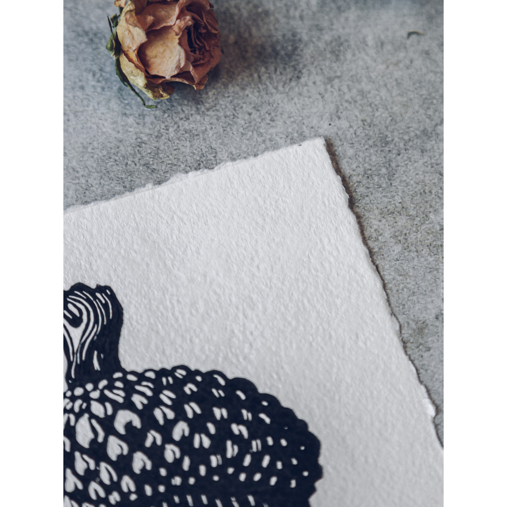 linocut print acorn oak-8.jpg