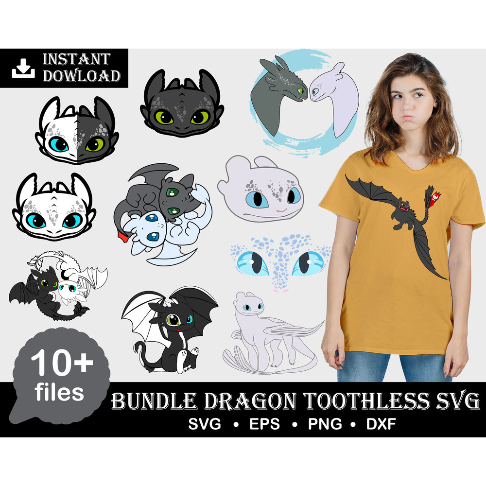 dragon toothless bundle.jpg