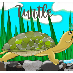 Turtle Jpg Illustration