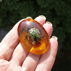 Real Scarab Beetle Epoxy Amber Resin Cabochon Amulet gift for children Home Decor Fridge Magnet Green bug insect resin