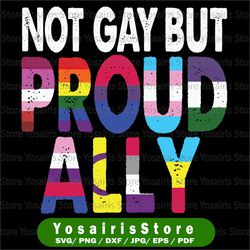 proud ally png, pride squad, lgbtq, gay pride png, pride month, rainbow, gay flag, queer png