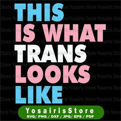 This is what the trans look like SVG, LGBT Pride Svg, Lesbian Pride svg, gay pride svg, cricut file, clipart, svg, png,
