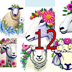scrapbooking card set, pocket card - sheep with flowers -1