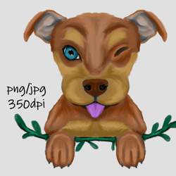 Digital download / Hand drawn, cute kelpie puppy