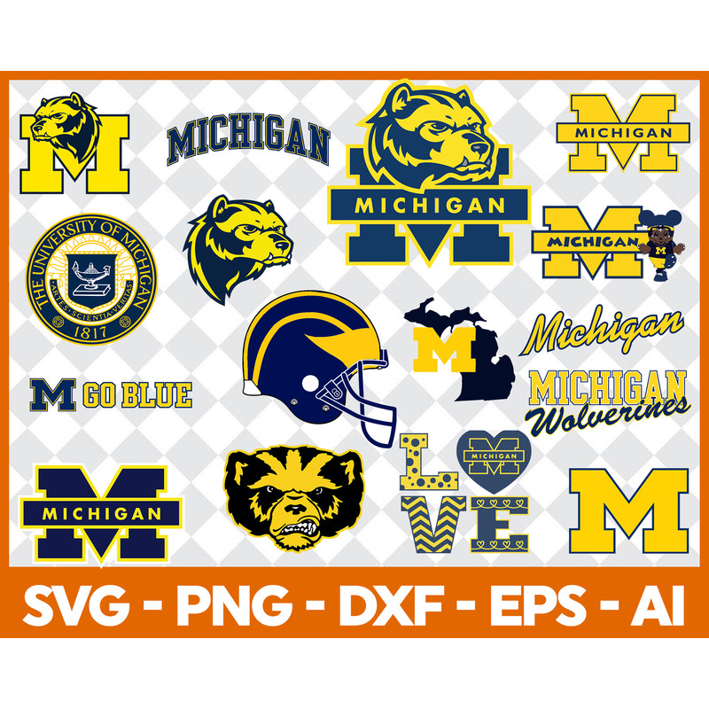 43 MichiganWolverines.jpg