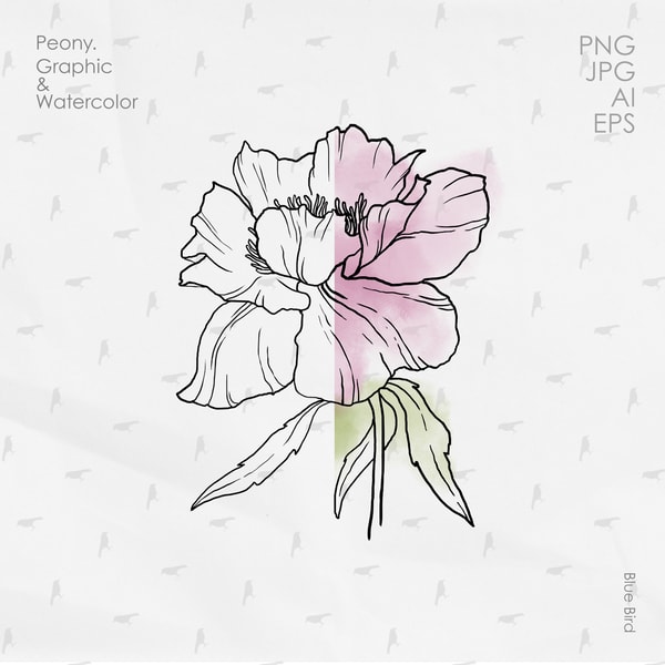 Abstract Peony Line Work Peonies line art PNG, line drawing peony clip art botanical, - Inspire ...