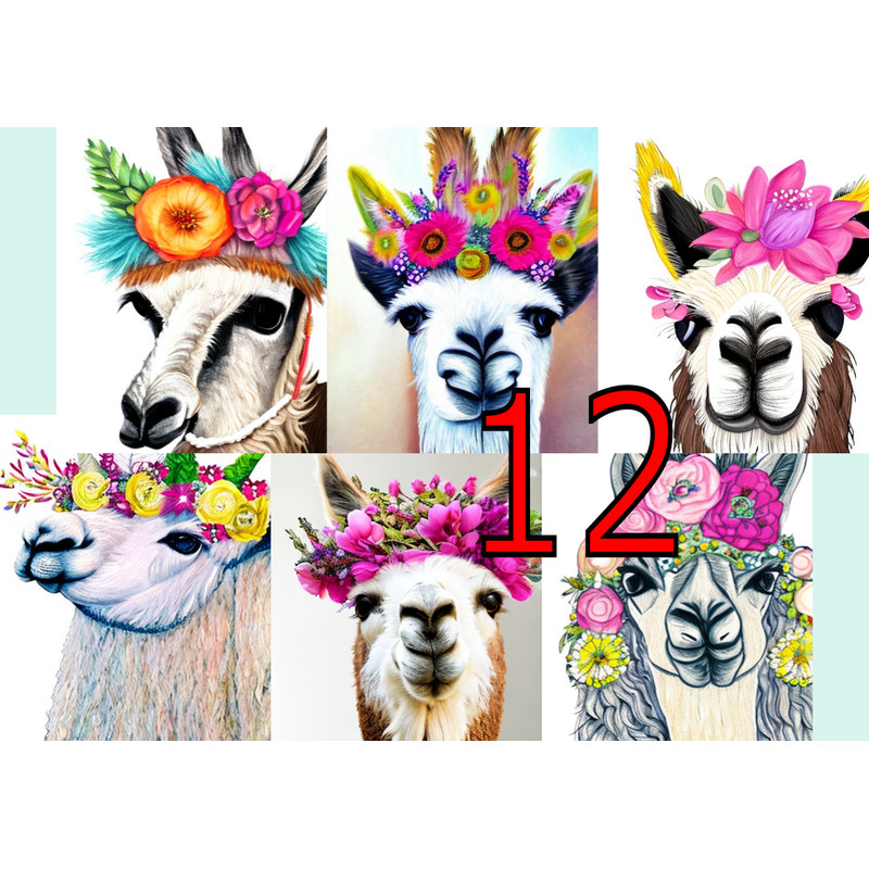я1.png