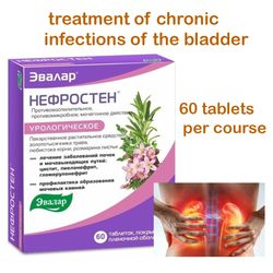 Nefrosten 60 pcs tablets, treatment of chronic infections of the bladder (cystitis) and kidneys (pyelonephritis)