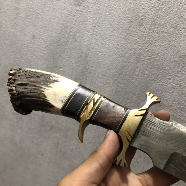 brass Handle knife in  florida for sale near me my home.jpeg