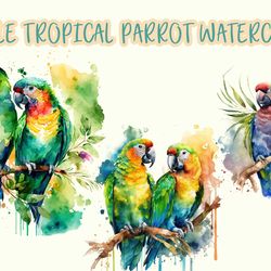 Couple Tropical Parrot Watercolor