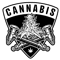 5 (2).png