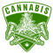 6 (2).png