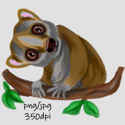 digital download / hand drawn, cute slow loris