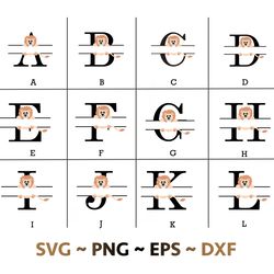 Cute Lion Alphabets SVG bundle, Fancy alphabets files, SVG files for cricut, Digital download, instant download