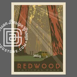 redwood national park travel poster by anderson design group | national park print | redwood print
