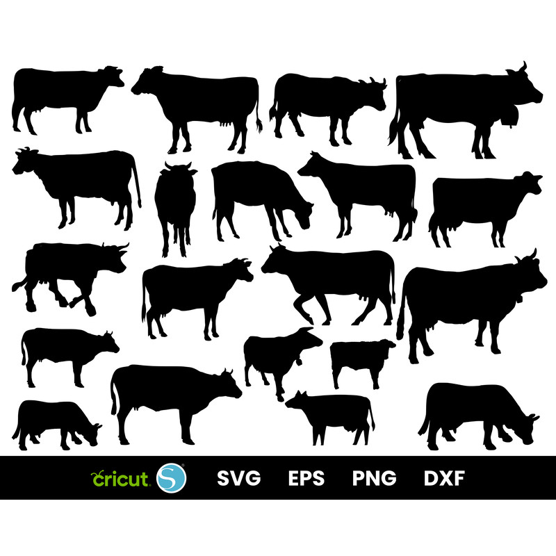 ebook pdf download (2).png