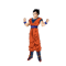 Gohan 2.png