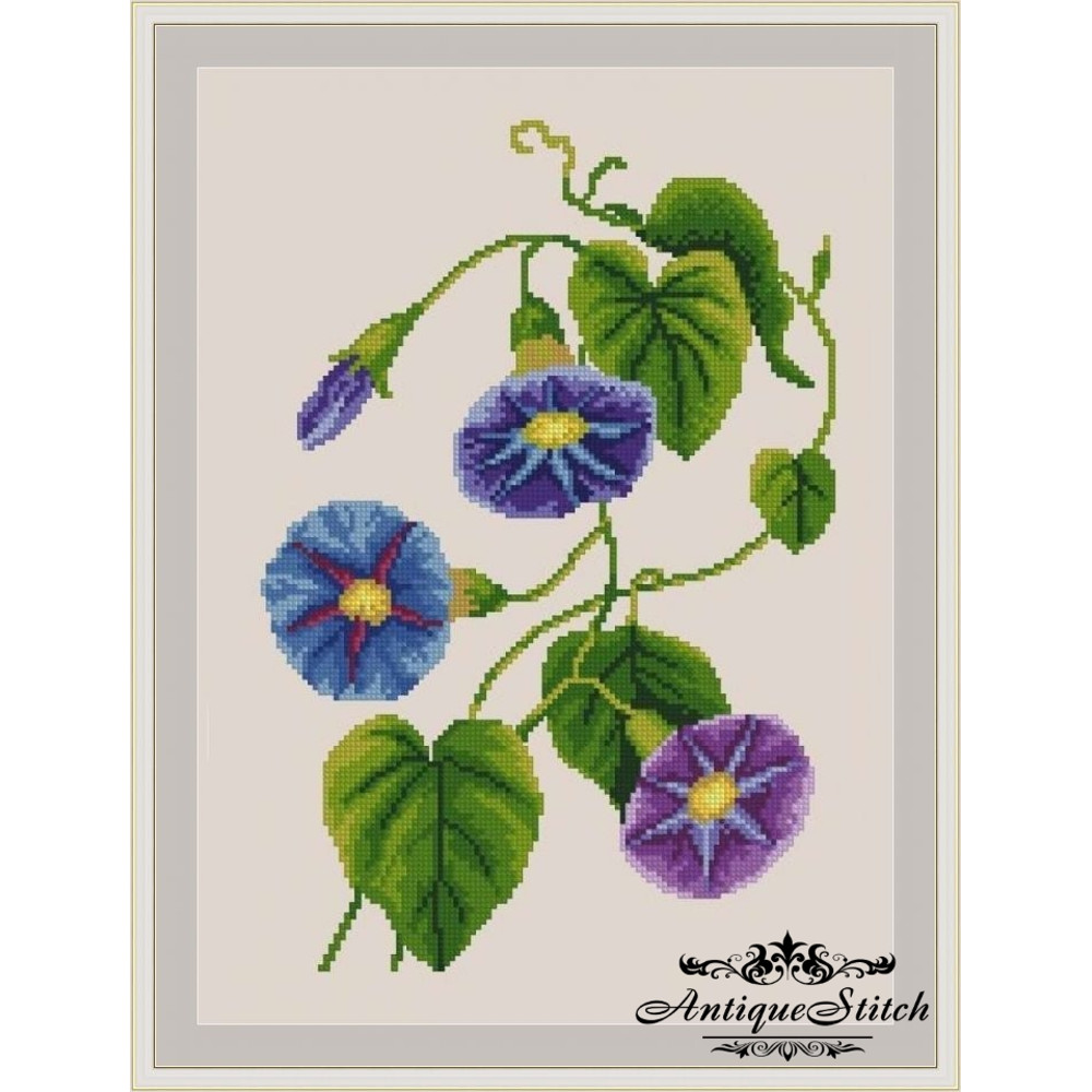 Morning Glory pattern cross stitch