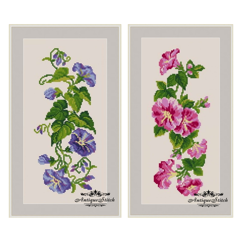 Blue morning glory and Pink morning glory cross stitch pattern
