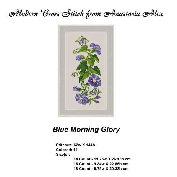 Bouquet-77-Blue Morning Glory-02.jpg