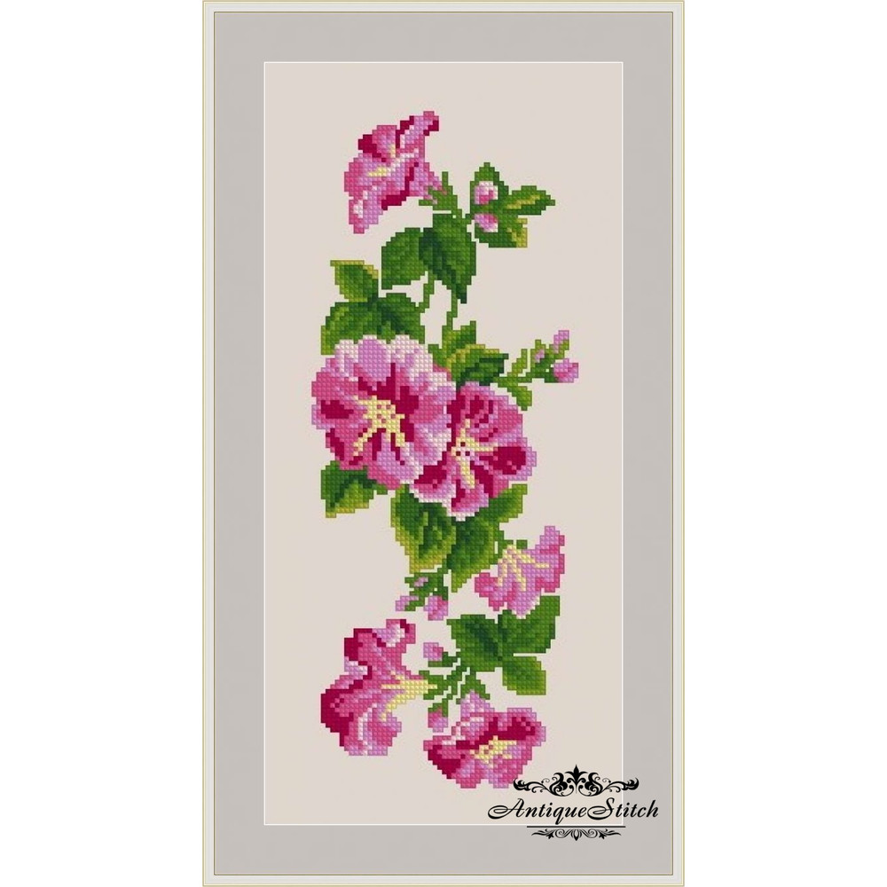 Pink Morning Glory cross stitch pattern