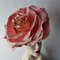 Giant rose Fascinator Women's Day Kentucky Derby Hat.jpg